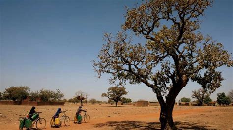 lira 500 bet|Suspected jihadists kill hundreds in Burkina Faso attack.